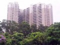 深圳石岩爆料事件最新情况,最新进展与调查动态揭晓