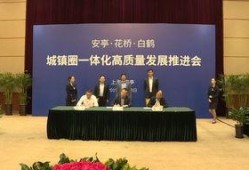 嘉定新闻爆料网站最新,揭秘最新爆料背后的真相与影响