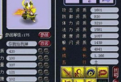 梦幻11最新爆料,揭秘新赛季精彩看点与球员动态