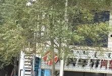 临城爆料最新,揭秘最新热点事件背后的真相
