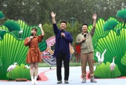 魏县最新事件爆料新闻视频,视频揭秘惊人真相，引发社会关注